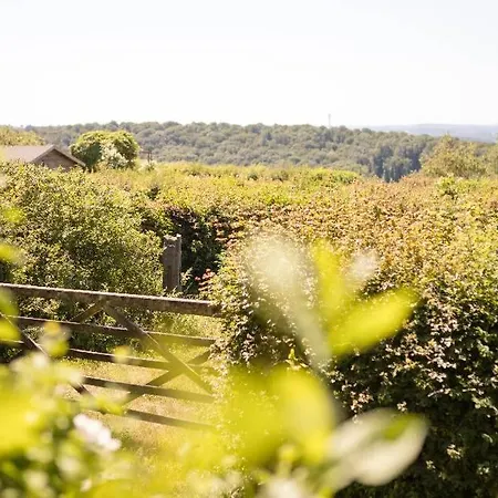 Ferme De L'airbois - Des Ecuries 12pers Vakantiehuis *